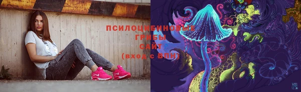 mix Богородицк